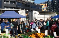 Wellington Markets Explored - Pick of the best, night or day