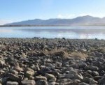 Exploring Lake Ferry Wairarapa