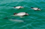 Top 10 Things to Do: Far North - New Zealand North Island
