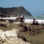 Best Beaches in New Zealand - Waipau Rivermouth