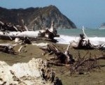 Camper vans & Best Holiday Campsites in New Zealand