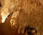 Waitomo Caves - fun for all the family