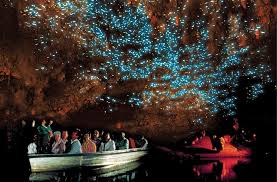 Best day trips from Auckland - Waitomo caves