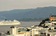 The Best of Wellington Cruise Ship Day Tours